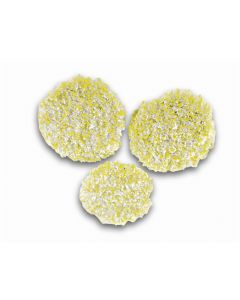 Polishing pads for stone/linoleum/PVC for FP 303