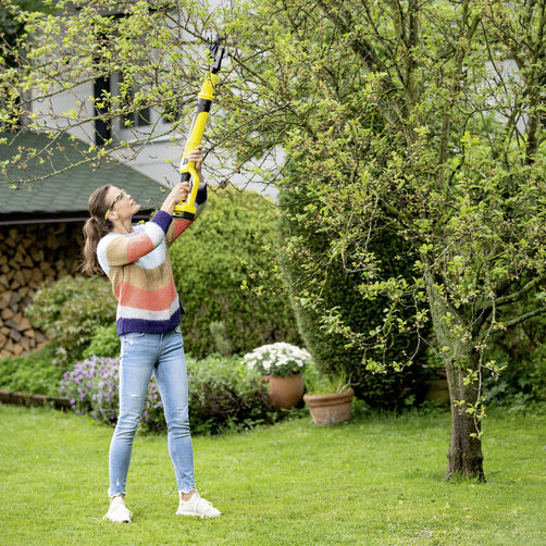 294d67f7-6fc6-41ed-8bad-99cfc84d7223